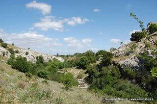 ntana Paradiso-15-05-2014 17-42-37